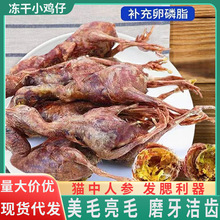 冻干小鸡仔 猫狗零食非冻干鹌鹑增肥发腮肉干宠物零食无毛小鸡崽