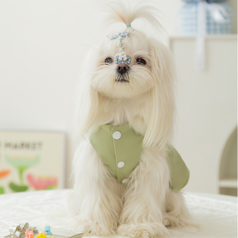 Puppy Dog Spring and Summer Thin Breathable Princess Skirt Yorkshire Small Dog Teddy Cat Two-Legged Pet Clothes