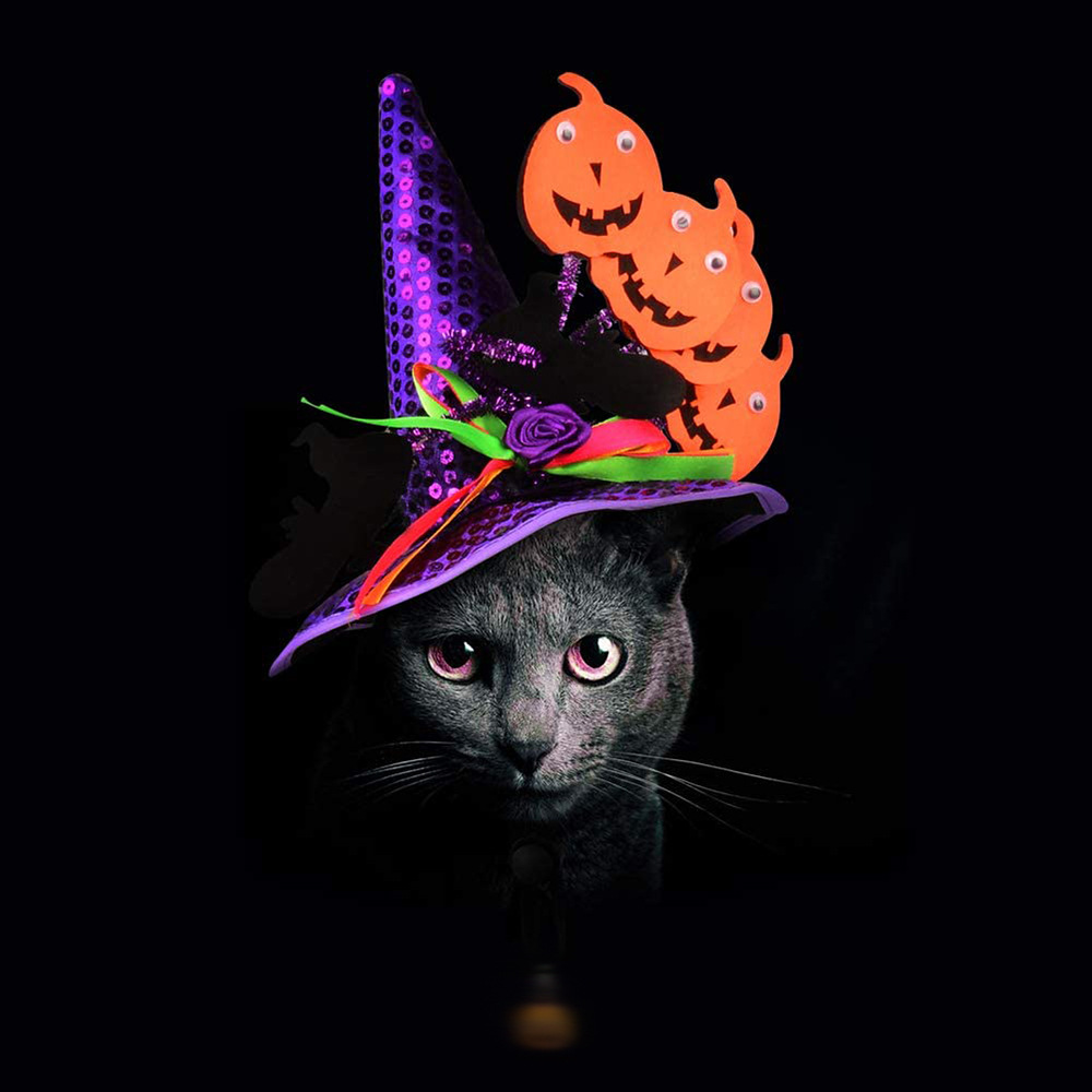 Cross-Border New Pet Funny Headdress Dog Cat Halloween Hat Pumpkin Gecko Headgear Funny Supplies