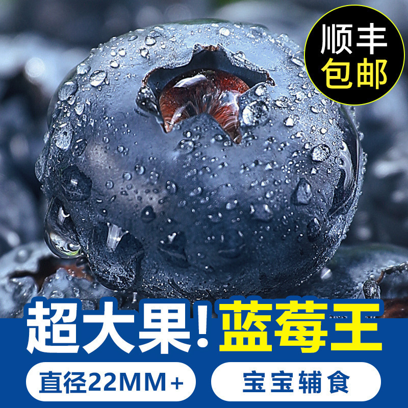 蓝莓鲜果云南花香蓝莓新鲜水果盒特大果高山怡颗甜莓整箱顺丰