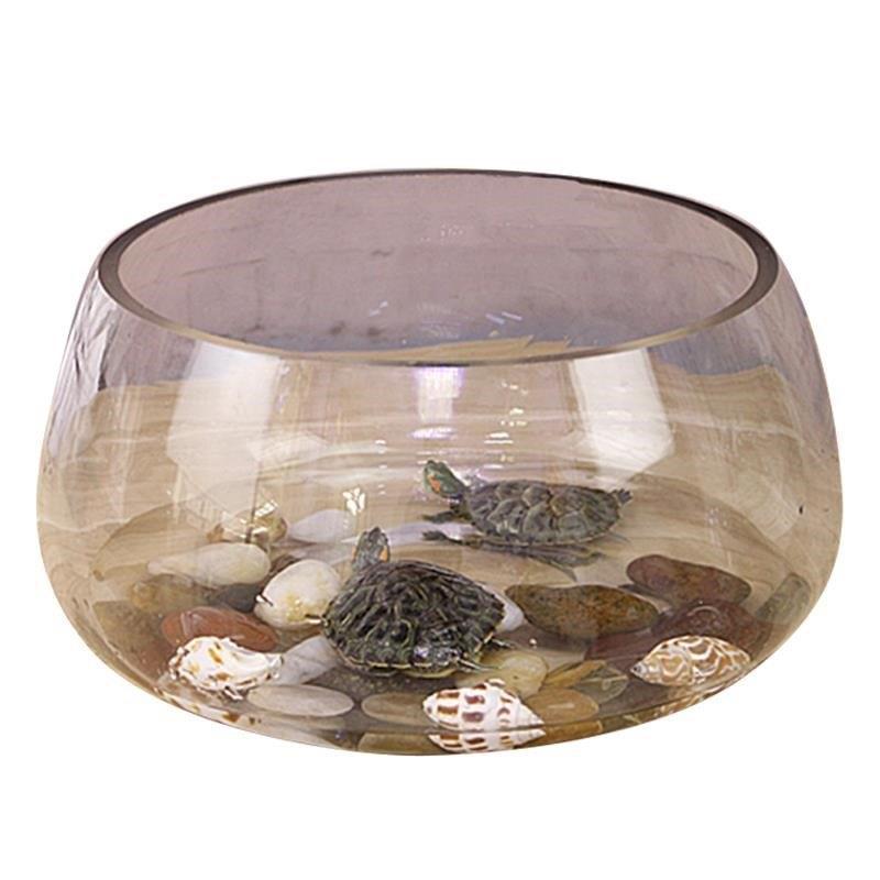 养小龟的专用缸养龟箱乌龟缸家用小型创意鱼缸客厅养鱼玻璃缸容器