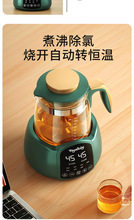 煮茶器煮茶炉喷淋式电茶炉玻璃蒸茶器小型黑茶养生壶蒸汽泡茶壶