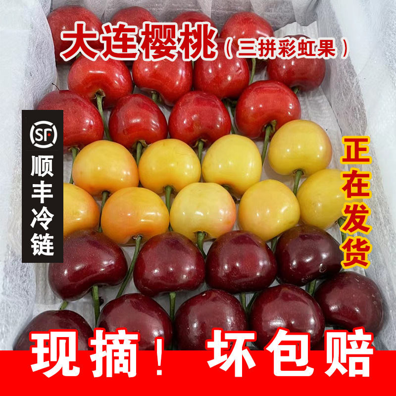 大连美早大樱桃佳红黄樱桃彩虹果三色三拼大甜樱桃车厘子送礼盒装