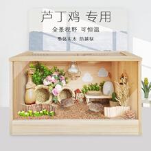 芦丁鸡饲养箱笼原木亚克力发酵床别墅养仓鼠鹌鹑育雏60基础笼