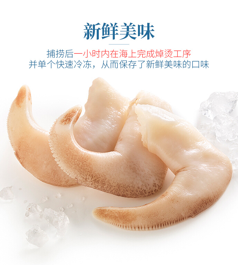 加拿大原装进口白玉贝鸟贝肉500g刺身料理食材日料拼盘