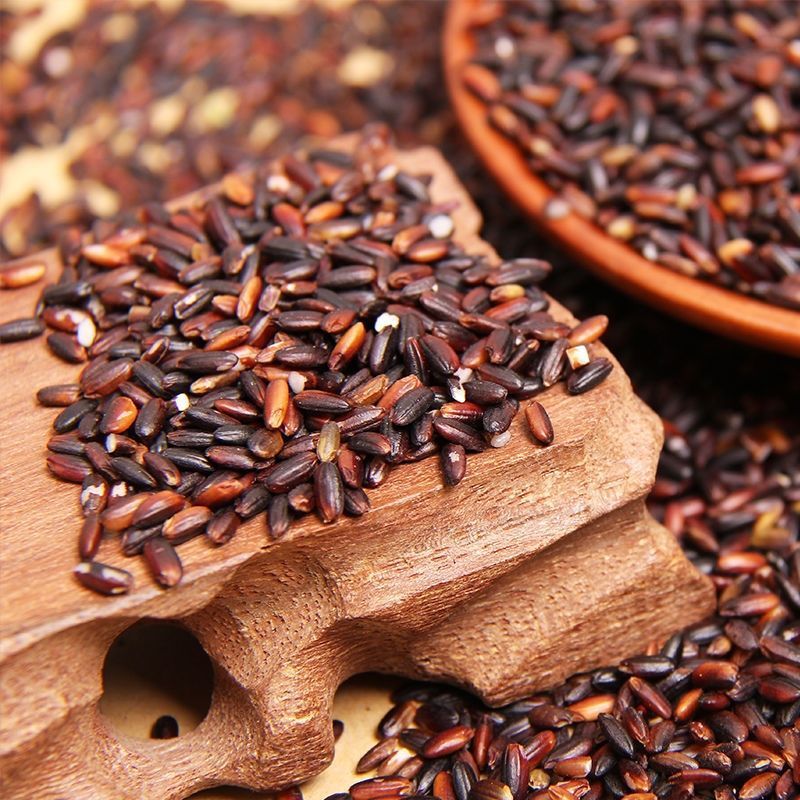 【五常血糯米】新米东北农家黑糯米粽子米紫糯米1斤5斤五谷杂粮