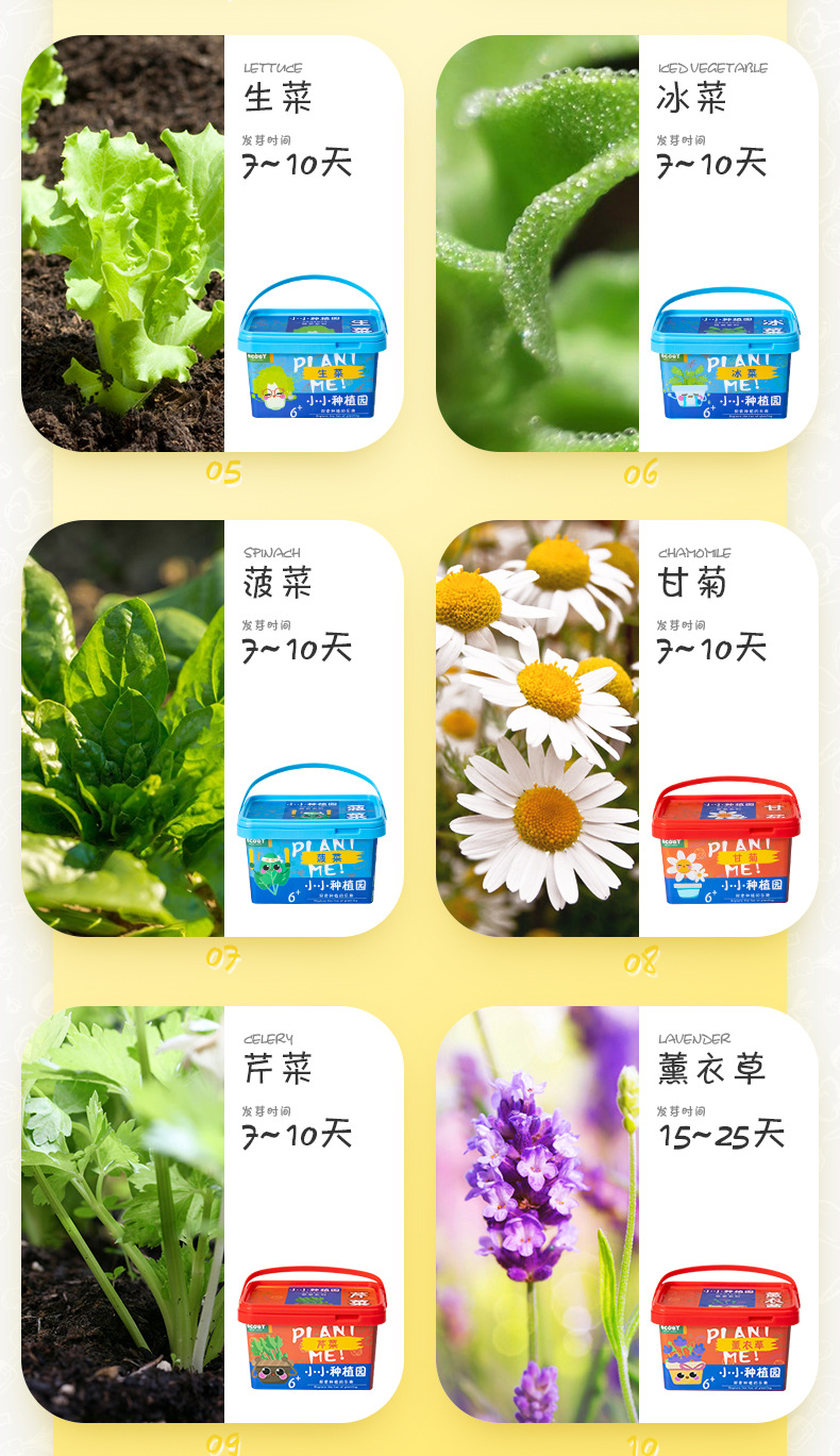 ecoey小花农开心农场学生观察日记盆栽植物发芽儿童玩具种植礼物