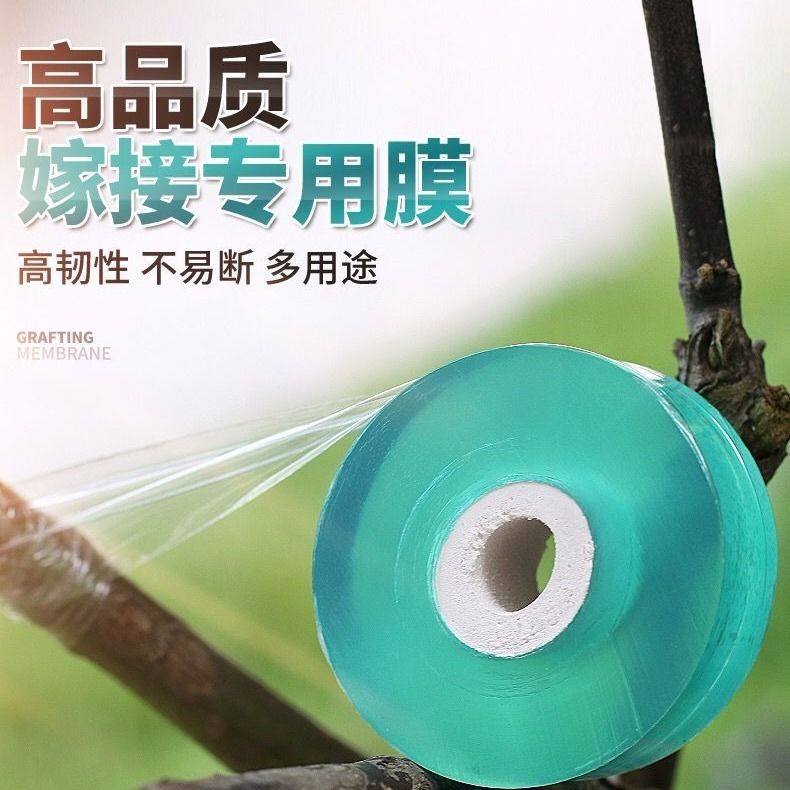 糯米纸嫁接带防水免拆自降解月季金弹子果树专用糯米膜许老师园艺