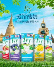 泰国ivy酸奶爱谊原味蓝莓草莓芒果混合水果味 180ml×4盒×12排