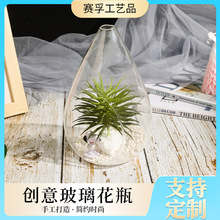 微景观生态瓶苔藓植物造景容器  蛋形鸡蛋瓶手工创意玻璃花瓶