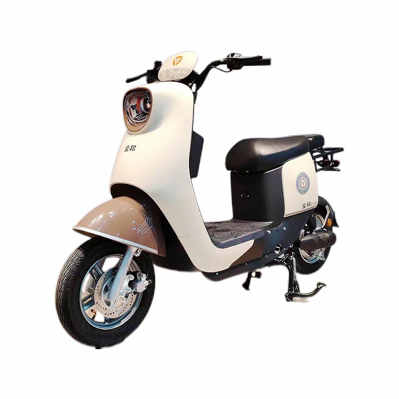 新国标电动自行车48v60v铅酸两轮踏板男女代步电瓶车可上绿牌