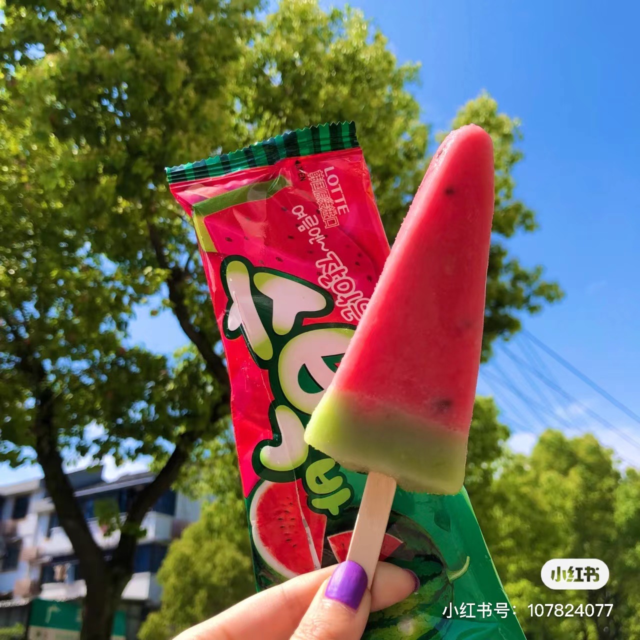 韩国进口网红lotte乐天西瓜味棒冰雪糕水果冷饮冰淇淋
