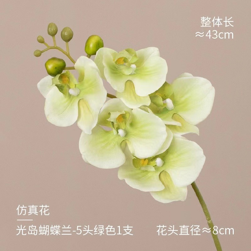 High-End Moist Feeling 5 Phalaenopsis Artificial Flower Domestic Ornaments Wedding Arrangement Flower Arrangement and Fake Flower Wholesale