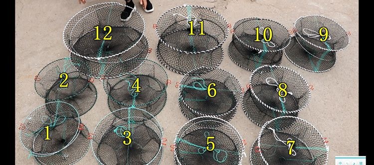 钓海螃蟹神器笼可折叠蟹笼加粗弹簧笼子海边捕蟹网蟹