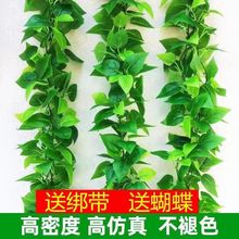 墙上绿植壁挂仿真绿萝叶塑料假花装饰绿藤蔓植物假树叶遮挡绿叶子