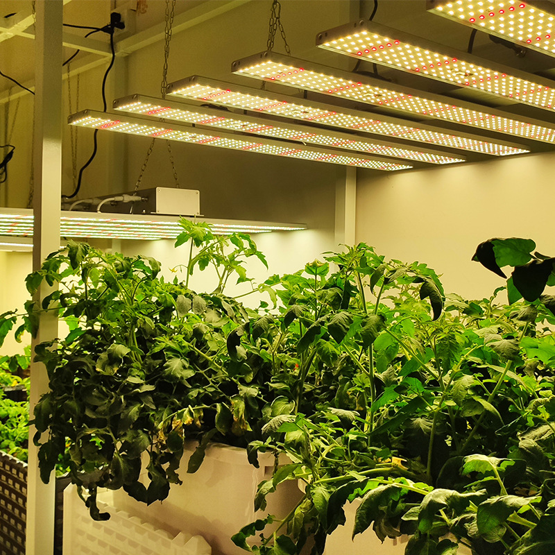 大功率麻药1000w北美种植灯600w八爪鱼全光谱led植物生长补光灯