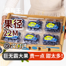 云南怡颗莓蓝莓王山地新鲜果盒装应当季水果现摘孕妇整箱大果包邮