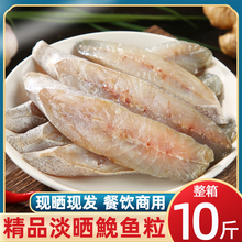 温州特产鮸鱼粒米鱼半干切中段肉多净重干鮸鱼鲞水产干货淡晒商用