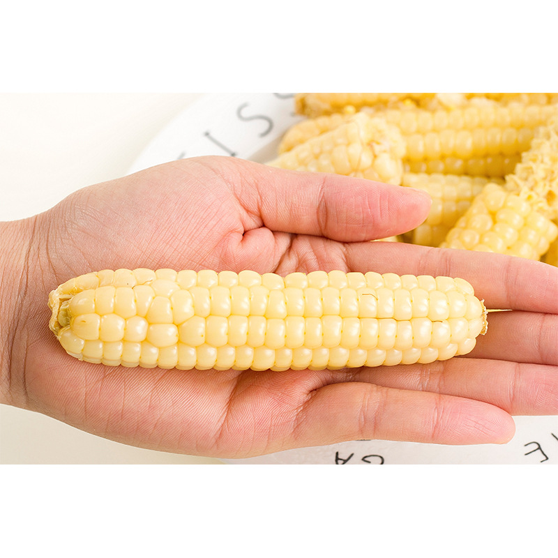 云南西双版纳傣家拇指小玉米新鲜香糯迷你真空小手指玉米早餐粗粮-阿