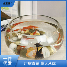 鱼缸 玻璃圆形大号加厚钢化生态椭圆办公大型小鱼观鱼厅中创意