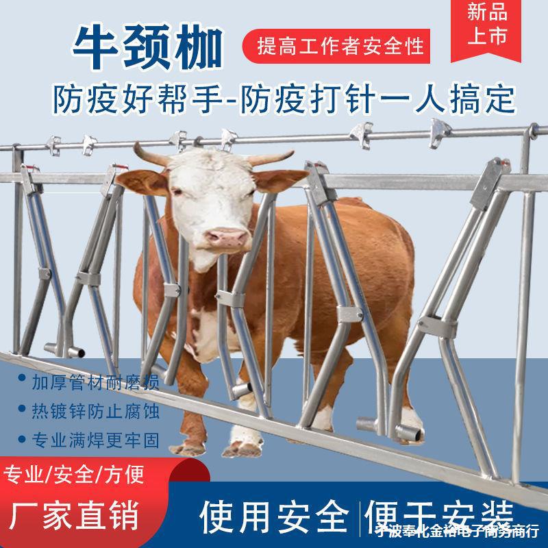 大角牛双开牛颈枷自锁式牛颈夹热镀锌养牛场设备加厚牛劲夹牛脖夹