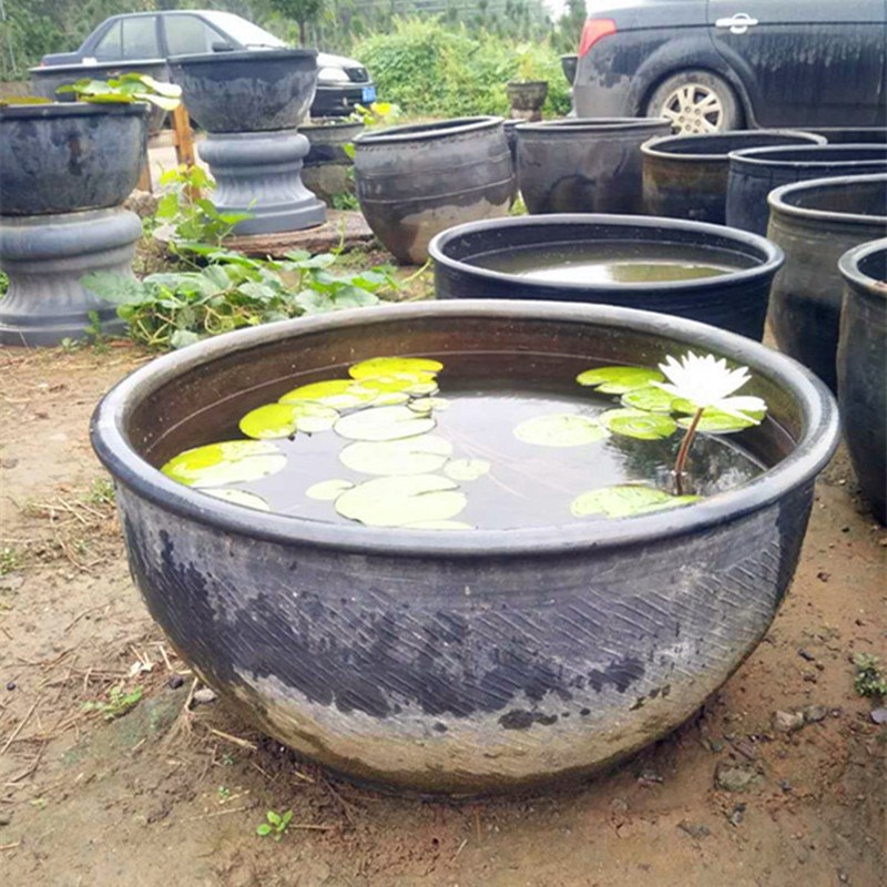 泥盆鱼缸龟缸传统工艺制作古华朴实养龙鱼金鱼种荷花睡莲包邮