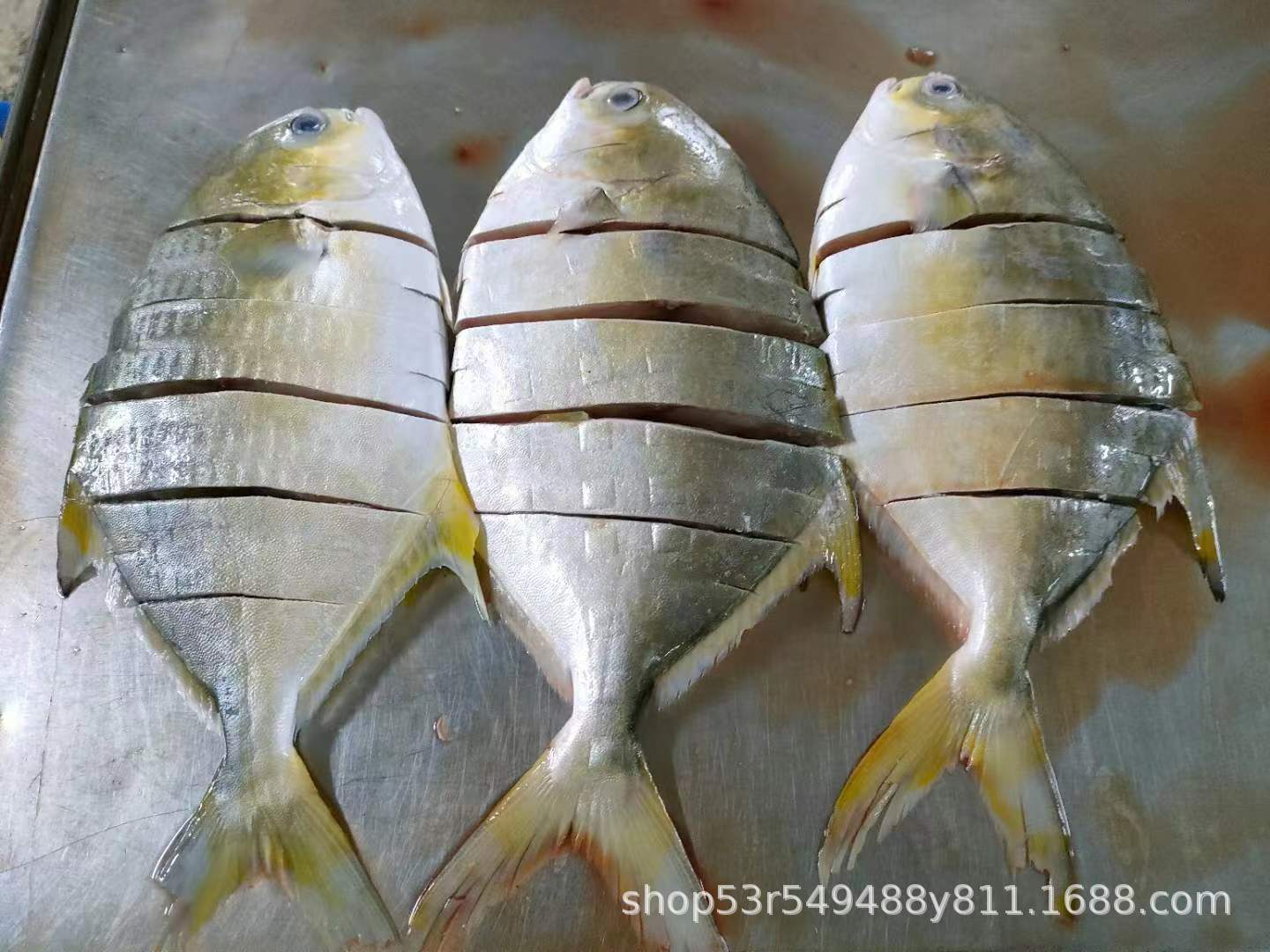 收藏产品现货订货?价格0634.