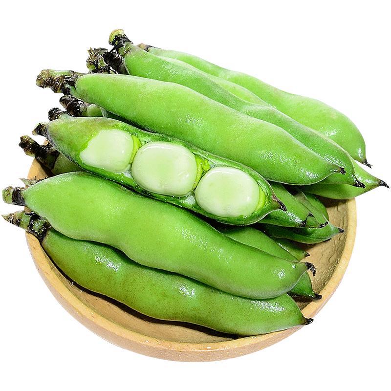 5斤包邮云南新鲜蚕豆农家带壳生蚕豆罗汉豆兰花胡豆佛南豆蔬菜