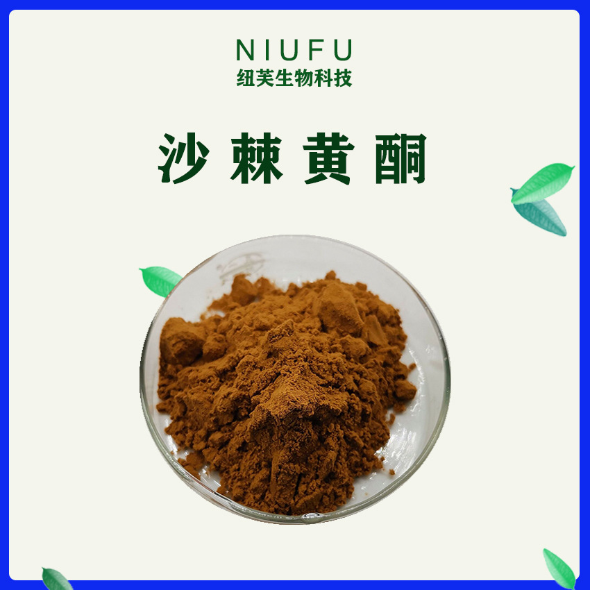 沙棘黄酮102030沙棘提取物沙棘黄酮粉沙棘总黄酮现货