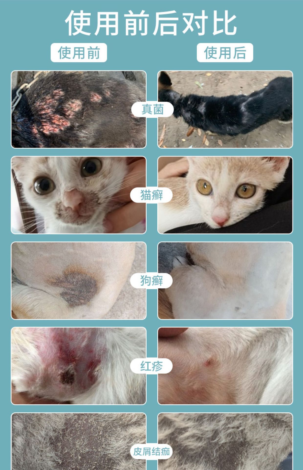 猫癣专用药膏真菌宠物狗狗皮肤病猫藓外用药复方酮康唑软膏黑下巴