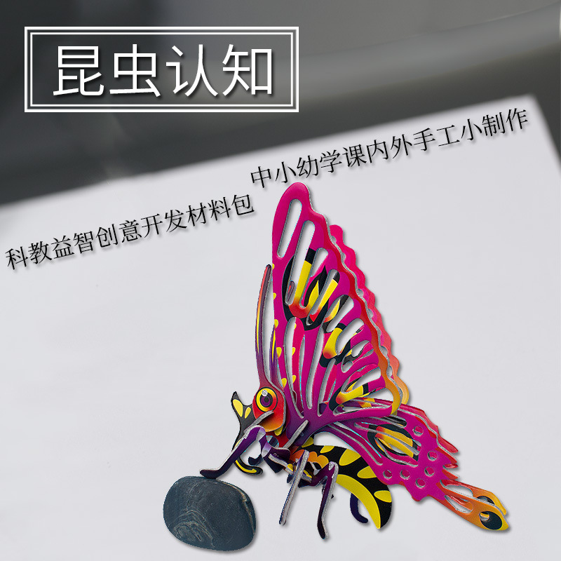 Homemade DIY Insects Small Butterfly Science and Education Observation Cultivate Children's Eye-Moving and Brain-Moving Development