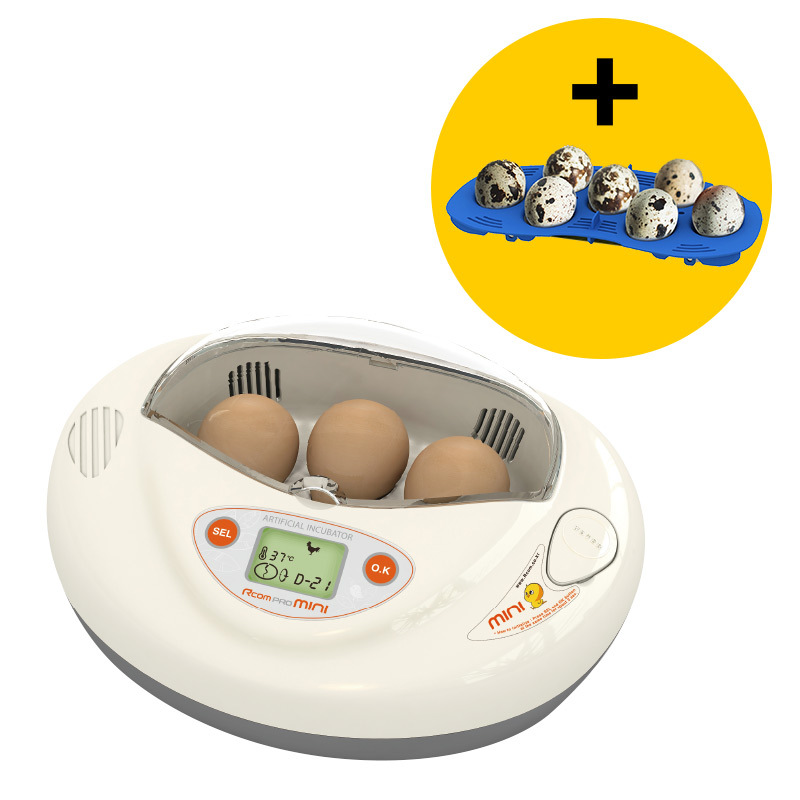 牡丹鹦鹉孵化器