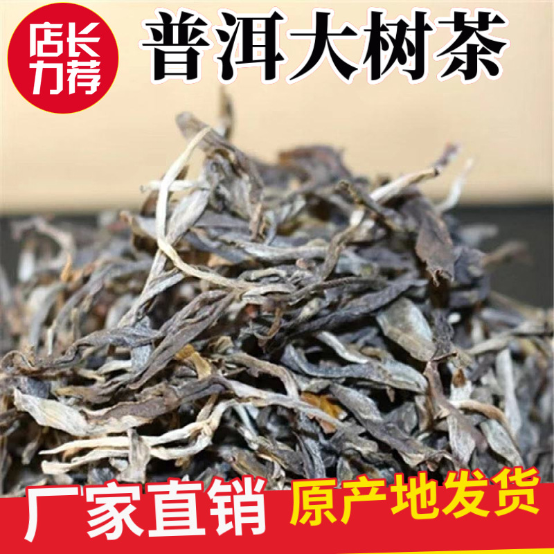 工厂批发普洱茶生茶熟茶散装原料老白茶古树茶金芽老班章冰岛包邮