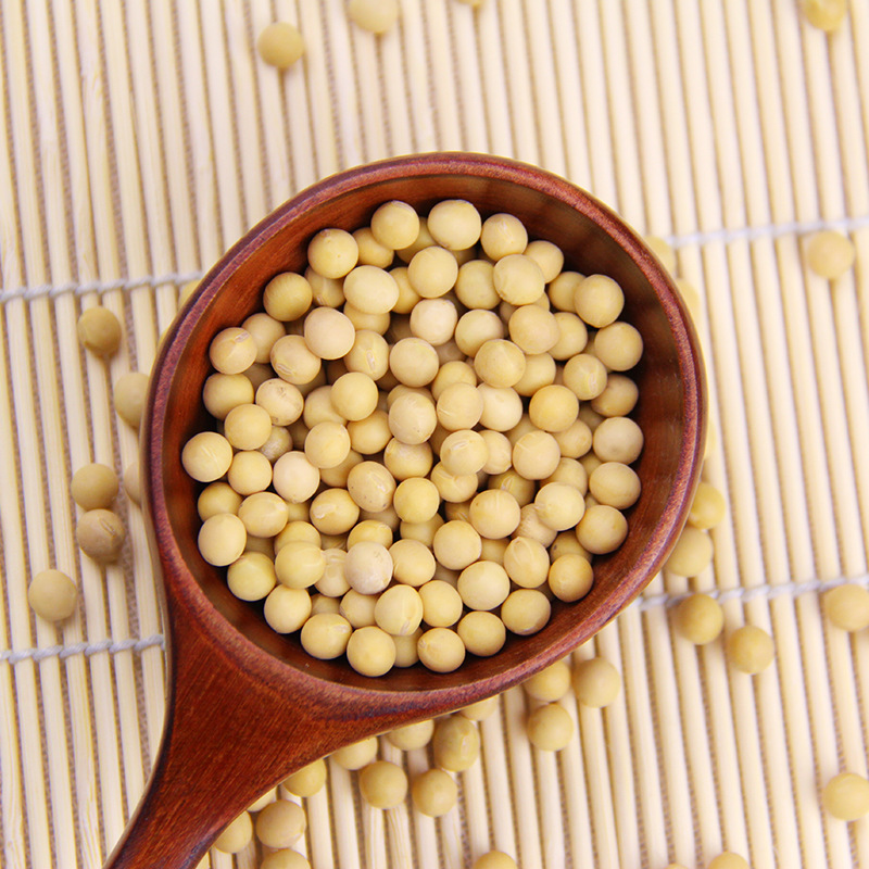 产地直发东北黄豆 非转基因高蛋白黄金豆2号豆浆原料五谷杂粮豆子