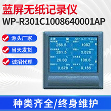 长期供应 上润WP-R301C1008640001AP 蓝屏无纸记录仪