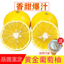 【爆汁】甜黄金葡萄柚子甜西柚当季新鲜孕妇水果柚子皮薄多汁