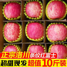 【拒绝假冒产地发货】正宗洛川苹果新鲜水果陕西延安红富士10斤装
