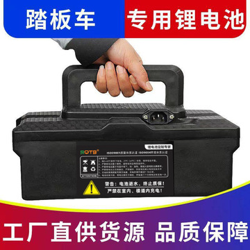 电动车锂电池48v新日台铃爱玛天能小葡萄通用t901踏板电动车电瓶