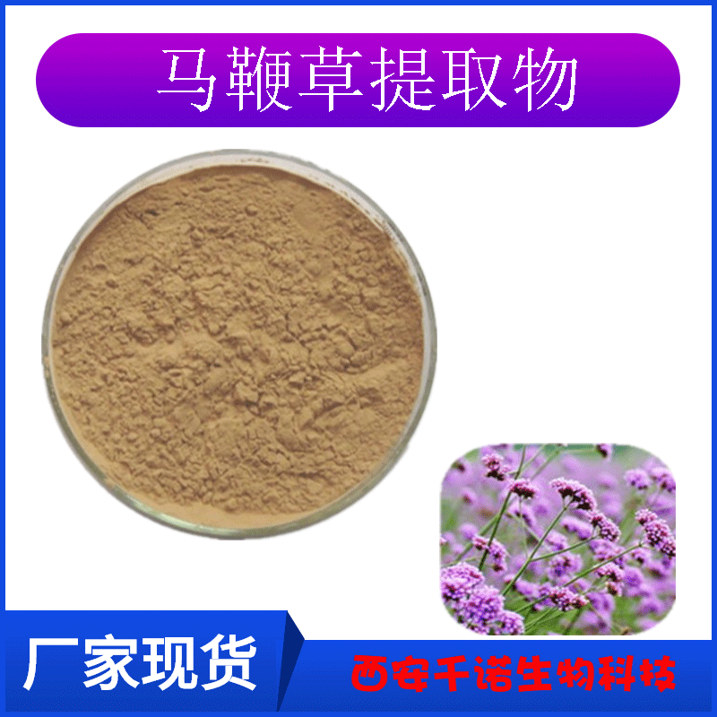 马鞭草提取物101马鞭草粉马鞭草浸膏粉马鞭草喷干粉千诺生物