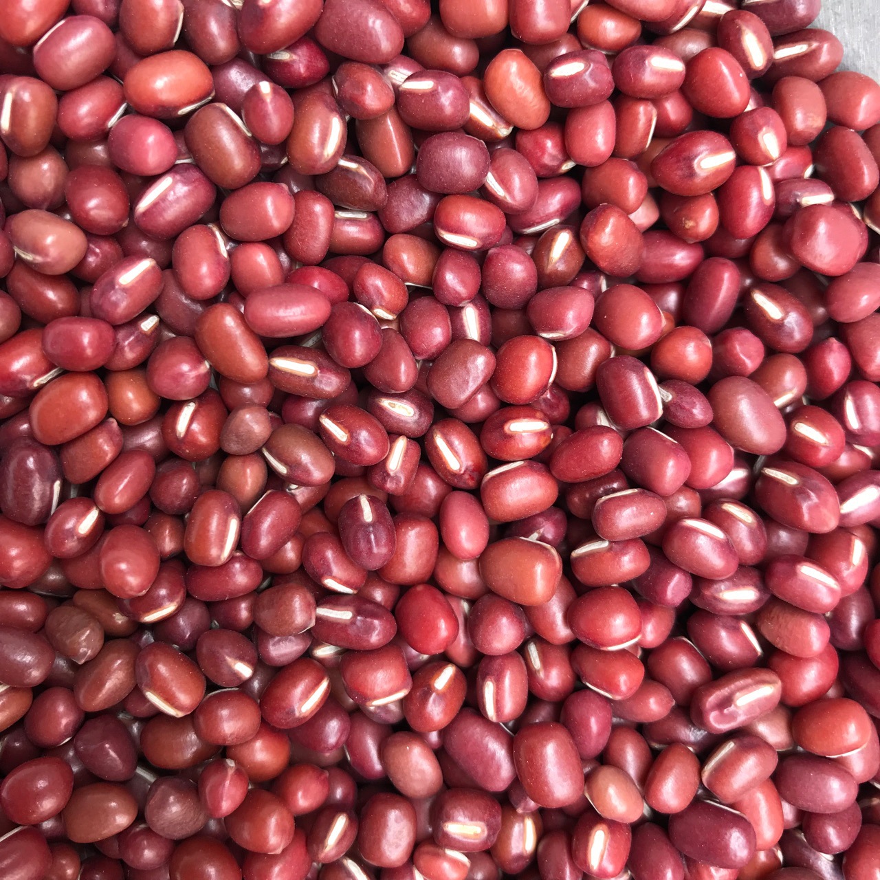 0成交2件北京金禾绿源商贸有限公司8年万谷食美品牌相似批发奶花豆圆