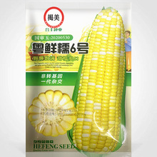 玉米甜糯种子北京华耐182号鲜食甜加糯白玉米种高产大棒春秋季播