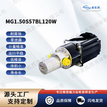 1.5CC微型磁力驱动齿轮计量泵PEEK齿轮316L泵体面膜机齿轮泵