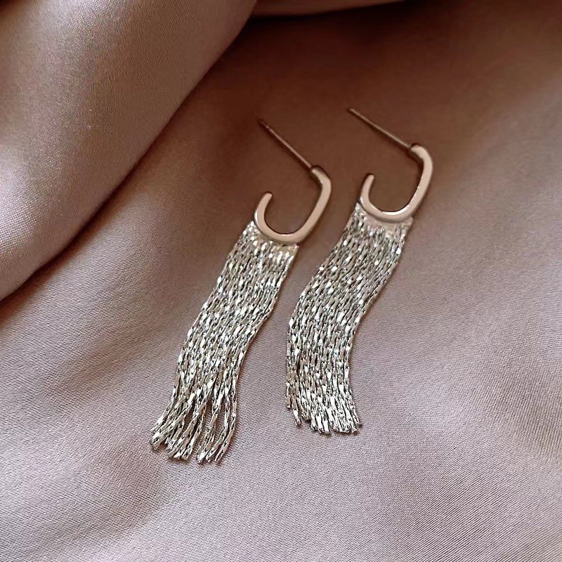 Metal European and American Simple Tassel Earrings Graceful Online Influencer New Fashion Earrings S925 Silver Light Luxury Long Earrings Wholesale