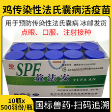 兽用甲砜霉素片兽药鸡鸭鹅鸽子痢疾拉稀肺炎肠炎猪牛羊呼吸道感染