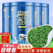 天王罐装云雾高山早春茶叶散装新茶浓香型绿茶100g礼盒碧螺春