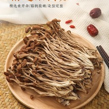 茶树菇干货菌菇新货茶树菌新鲜非野生脆嫩无硫煲汤食材厂家批发