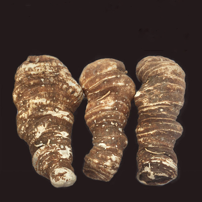 重楼中药材批发滇重楼七叶一枝花大片重楼云南重楼个干货产地货源