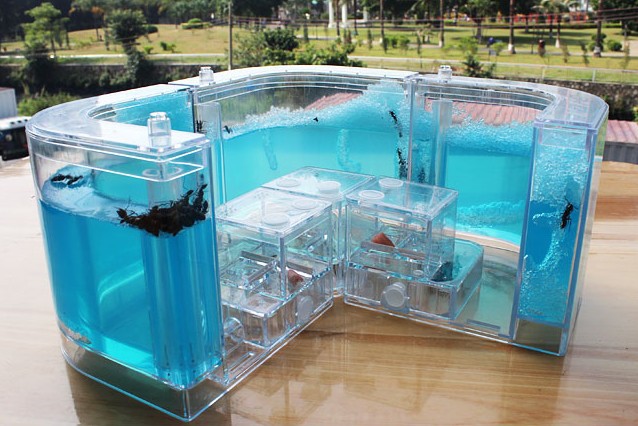 75成交0件蚂蚁城堡蚂蚁生态箱蚁巢工坊别墅家园小宠物