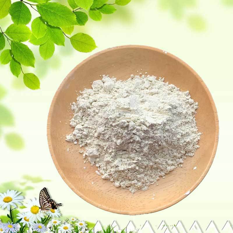 现货供应 雕刻叶腊石 叶腊石粉 叶腊石粉 现货 可取样品