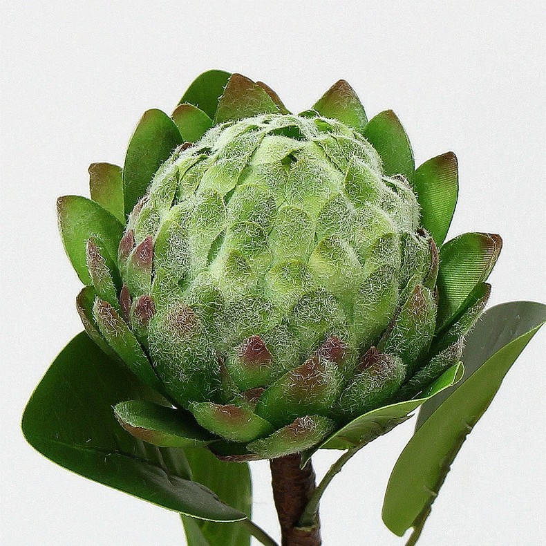 仿真花释迦果帝王花苞假花塑料花绢花家居软装婚庆摄影园艺装饰